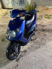 سكنس فحل ما مفتوحه مال رمبه عنوان بغداد جديده رقم 07711358394