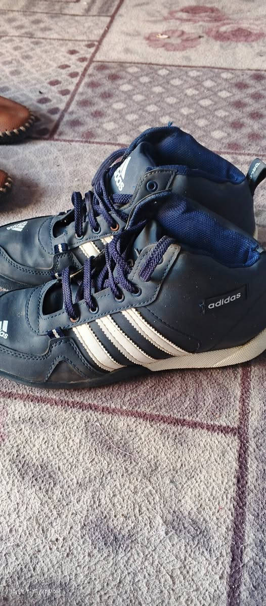 حثيه 15 زوج البيع السعر كلهن 50 ألف مكان القرنه هور السعد ***********
