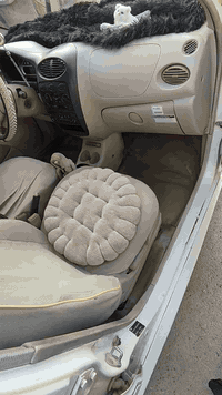 كيو كيو • ٢٠١٢ • سنوية باسمي