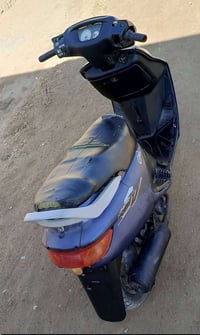 فراشه نثيه • تاير خلفي • دغاره زبيد