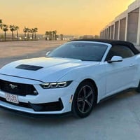 موستانغ ٢٠٢٤ • زيرو ٣٠٠٠ • فتحة سقف