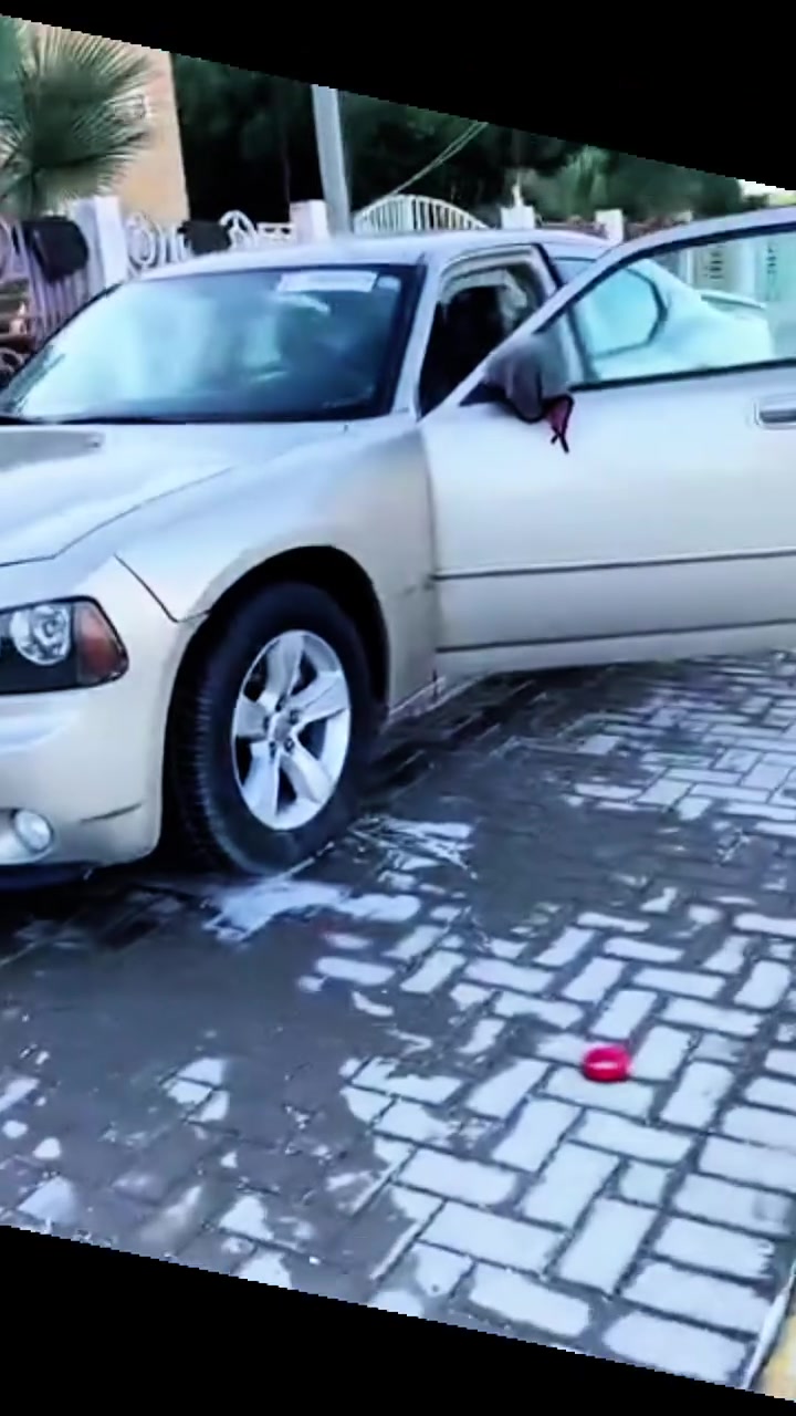 مراوس باصولي جنون مكصوصه أو رأس الثور جارجر 2008 أصولي تحويل مباشر بيع فقط صبغ حزام
***********
