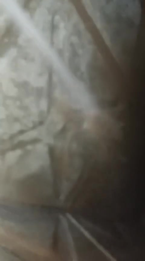 وتستمر الجهود ابطال عمارة C37  صيانة خزانات المياة   لتجنب الامراض ولديمومة عمل منظومة التغذية 
بارك الله بالجهود المبذولة من قبل الجميع


**إذا كنت صاحب هذا الإعلان وتريد حذفه لأي سبب، رجاءا أرسل رسالة إلى الدعم الفني**