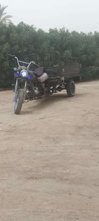 ستوته • للبيع • خاص