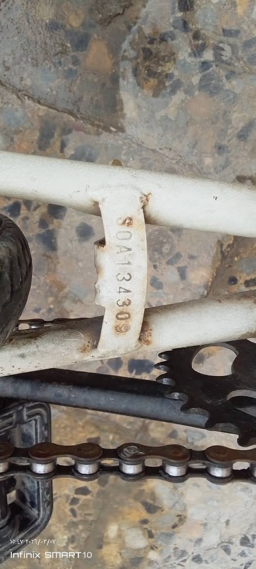 السلام عليكم للبيع بايسكل حجم 26  موديل 2024  بي ختم بايسكل كدام عينك بي نقص سيم بريك خلفي و نقص سيم واحد بل ويل الخلفي سعر 50 وبي مجال مكاني بغداد  حي الجهاد


**إذا كنت صاحب هذا الإعلان وتريد حذفه لأي سبب، رجاءا أرسل رسالة إلى الدعم الفني**