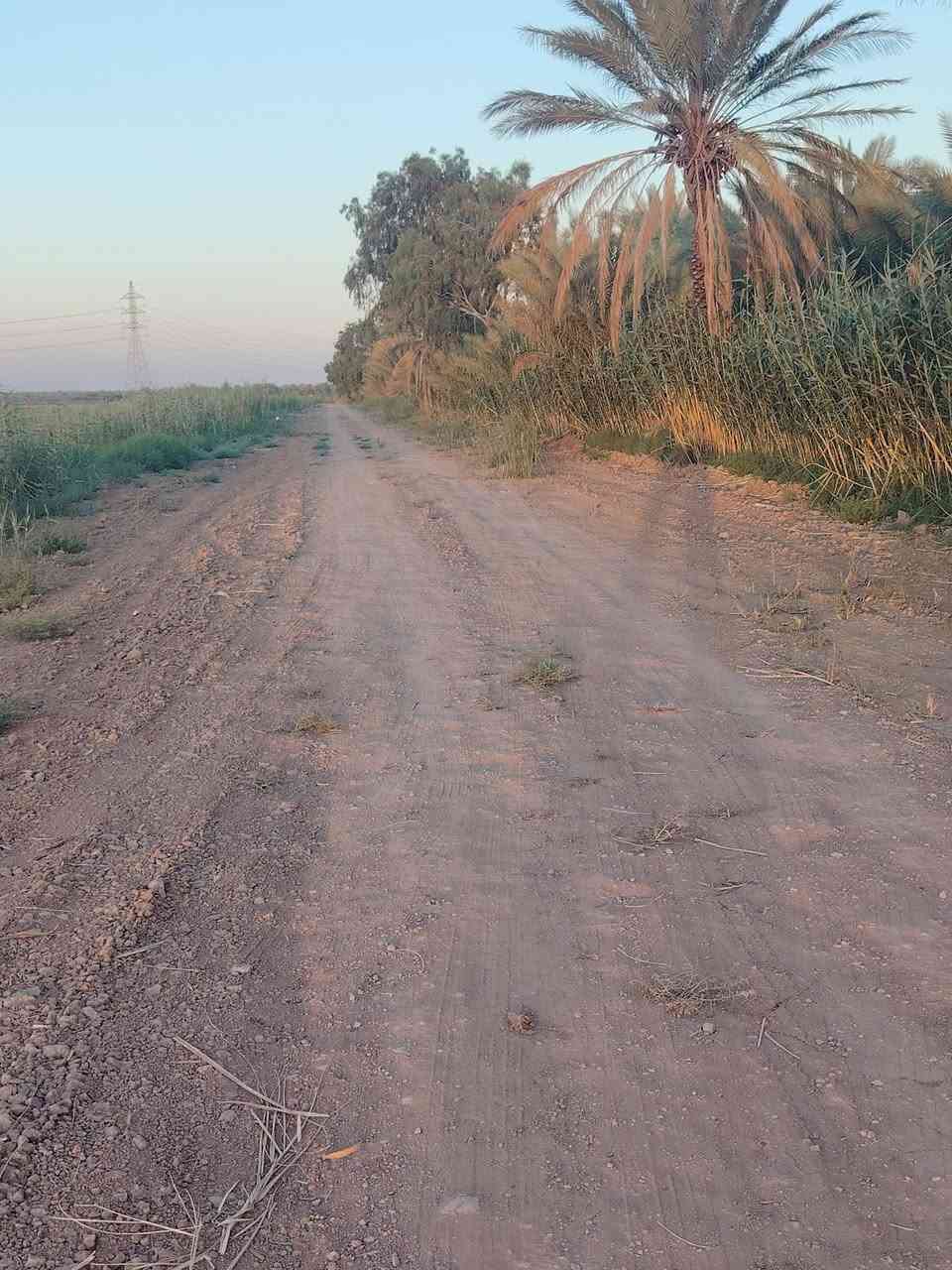 دونم  طابو سند ٢٥
الواجه ٣١متر     عرض الشارع 10 أمتار   ماء + طريق سبيس
الطريق سالك من الجهتين
للاستفسار
***********
***********
