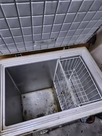 مجمدة • شغالة • كركوك