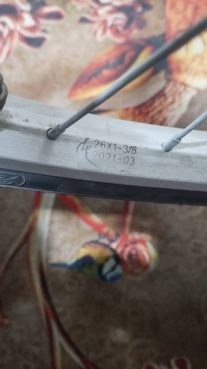 للبيع او مراوس خاص


**إذا كنت صاحب هذا الإعلان وتريد حذفه لأي سبب، رجاءا أرسل رسالة إلى الدعم الفني**