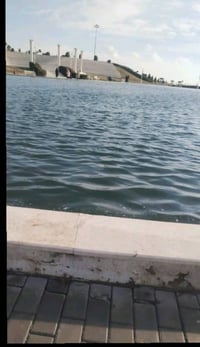 محتاج شغل ويتر عمري 19