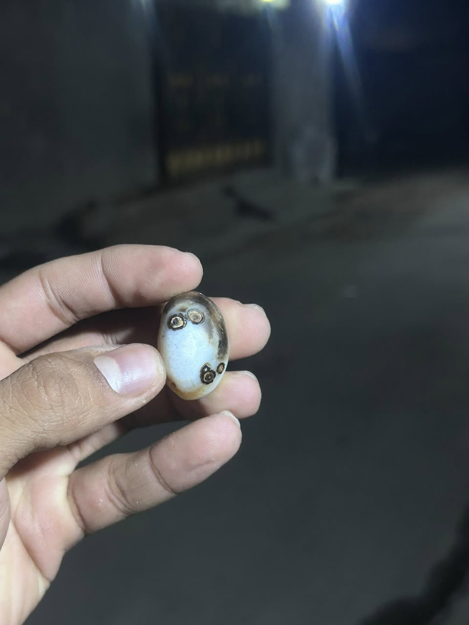 داودي عطف ملاكط مصور وجه  قيم وخذ


**إذا كنت صاحب هذا الإعلان وتريد حذفه لأي سبب، رجاءا أرسل رسالة إلى الدعم الفني**