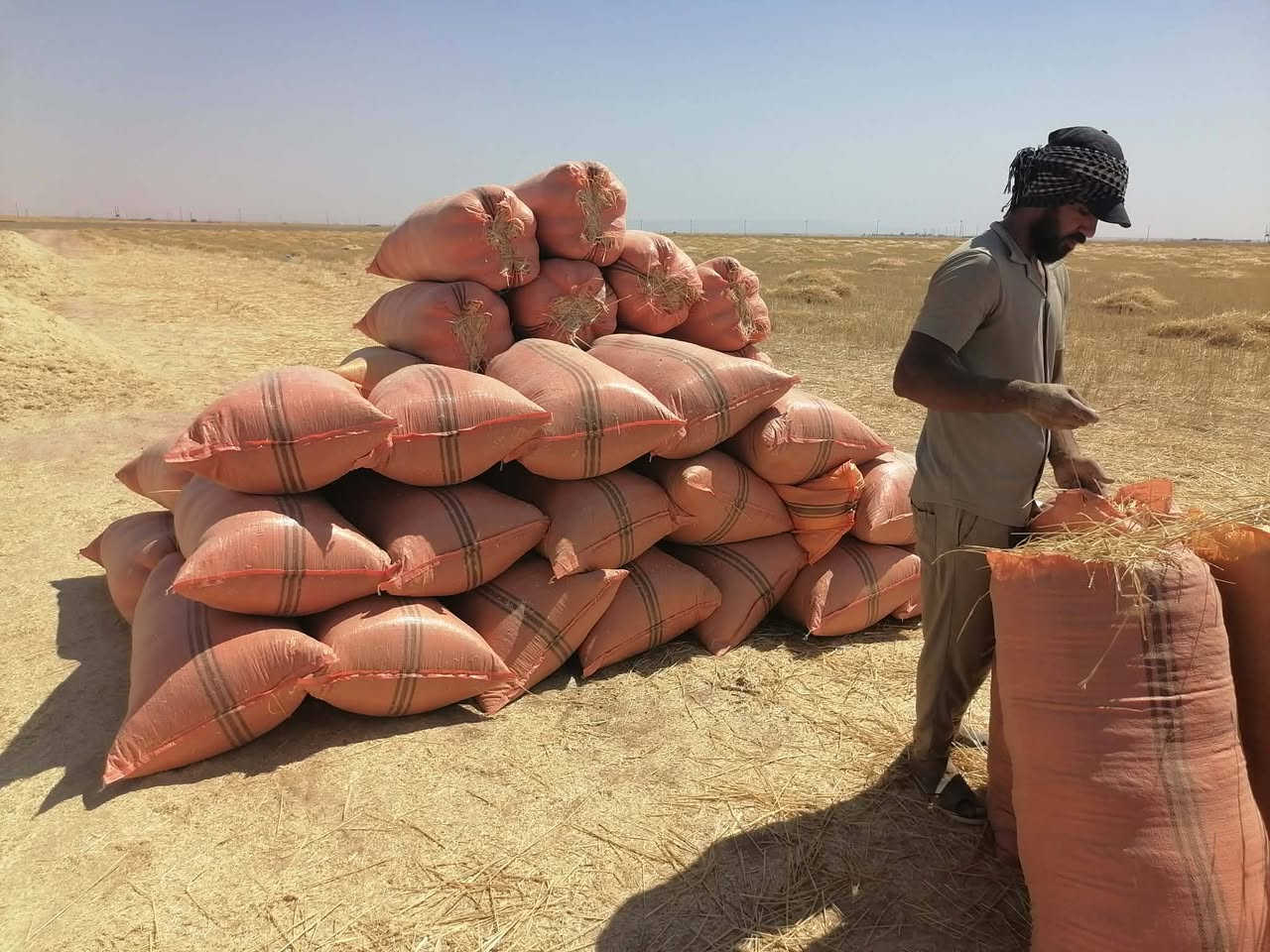 السلام عليكم يوجد تبن للبيع شلفان السعر ٣٠٠٠ الشليف واصل البيت ومال الحنطه مال السنه شرط نضيف القياس الشليف عرض ابو ٧٠ ارتفاع ١١٠ ويوجد خدمة توصيل والاستفسار ***********

