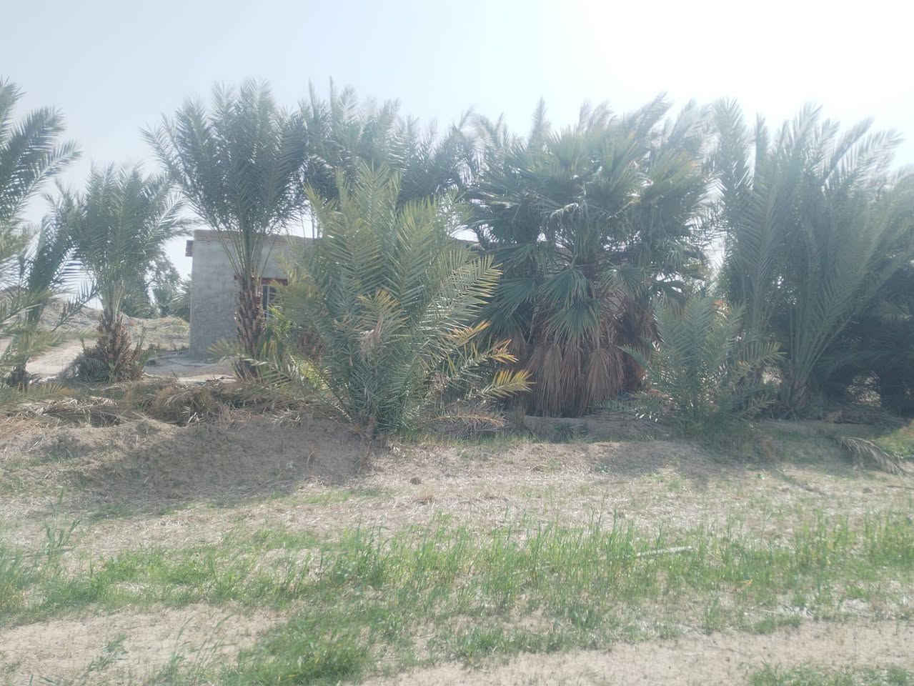 السلام عليكم
دار للبيع مع ارض ٧ دونم
ماء سكي 
 ماء اساله
كهرباء متوفره

مكان واسط قظاء الزبيديه قرية حلب

***********
