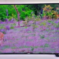 شاشة ٥٥ LED • التحرير جامع الصديق • معرض الجوهره