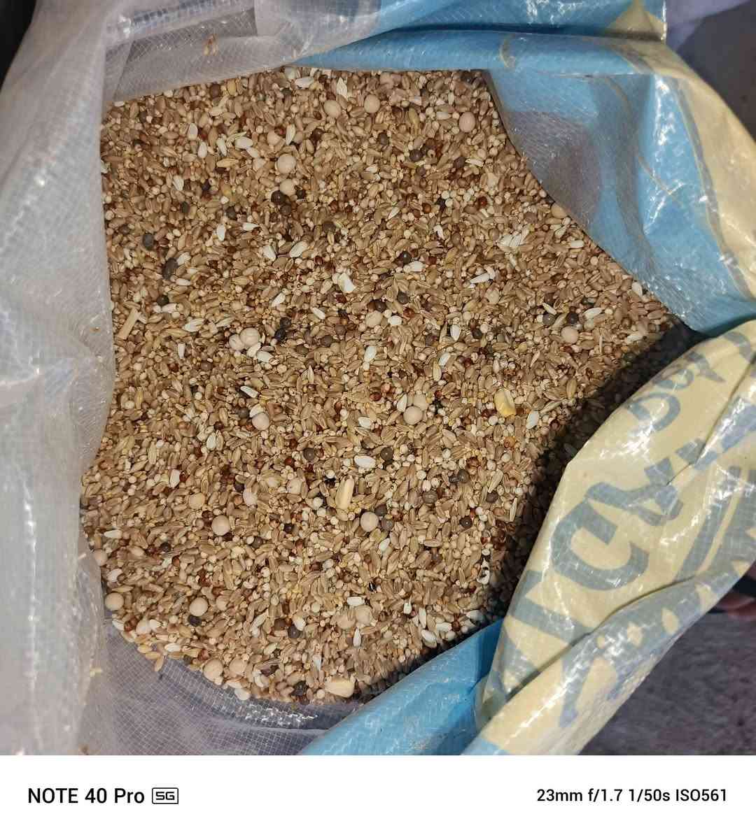 علا بركة الله تم افتتاح محلات ابو فلاح لبيع الاعلاف 
الطيور بانواعه 
و اعلاف المواشي 
باسعار مناسبه 
باداره حسن /***********
العنوان النصر المدخل الاول مجاور صدام ابو الدجاج
