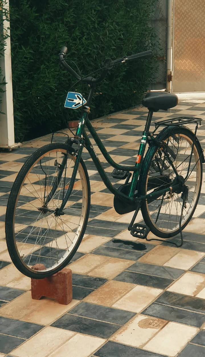 السلام عليكم.  
بايسكل بناتي موشم للبيع بايسكل نضيف وجديد بريك دسك 90 وياله مختمه شبجه جديدة حمالات جدد سرج طبي جديد بوري سرج مختوم
تايرات جدد بريك امامي نضيف    السعر 90 وبي مجال 
للتواصل الخاص مفتوح او *********** واتساب
