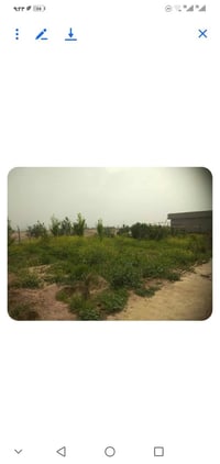 خوان مزرع للبيع المساحه دونم وبيت ميتين   متر وبير ما80 متر  بيع او مر...