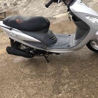 دراجة منغولية • جديدة • ديالى