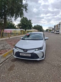 كورلا خليجي • ٢٠٢٤ • كركوك