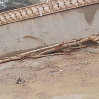 عودان • للبيع • هيت