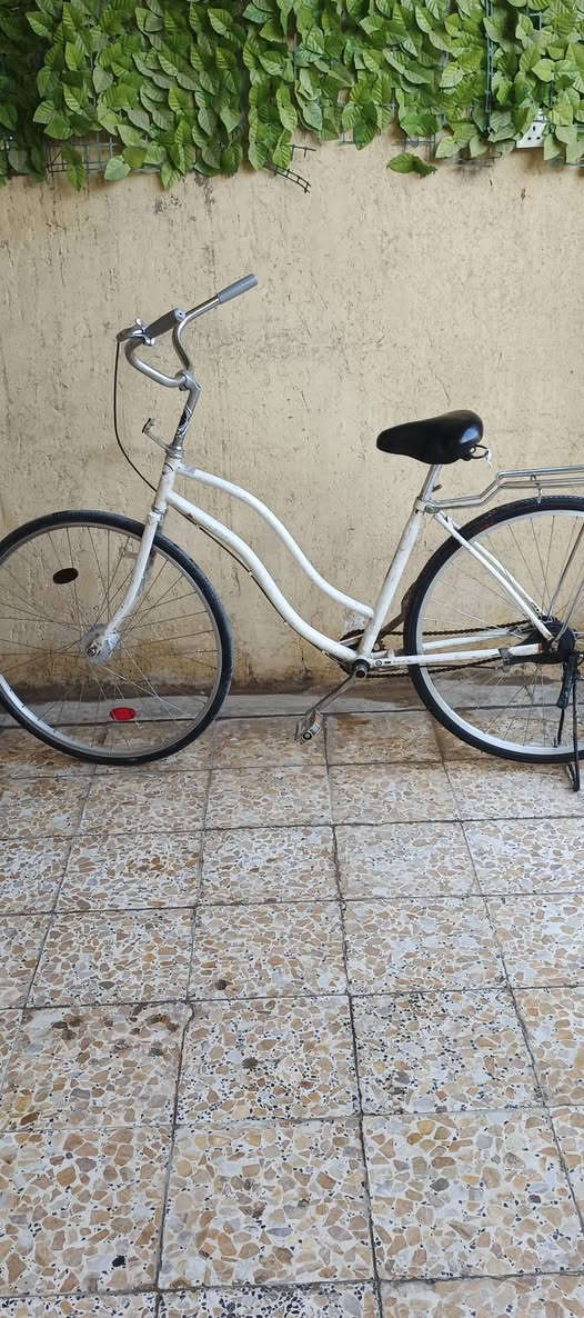 سلام عليكم بايسكل البيع السعر 60اوبي مجال الطيبين المكان كربلاء الحر قرب المدرسة علي الوردي


**إذا كنت صاحب هذا الإعلان وتريد حذفه لأي سبب، رجاءا أرسل رسالة إلى الدعم الفني**