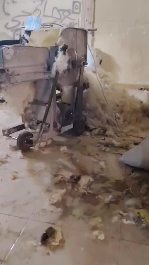 ندافه مال صوف وكطن وديباج لبيع مال صوف وقطن  الف  سعره 650 مجال مكان كركوك  رقم ال هاتف شرط ندف مكان كركوك ***********
