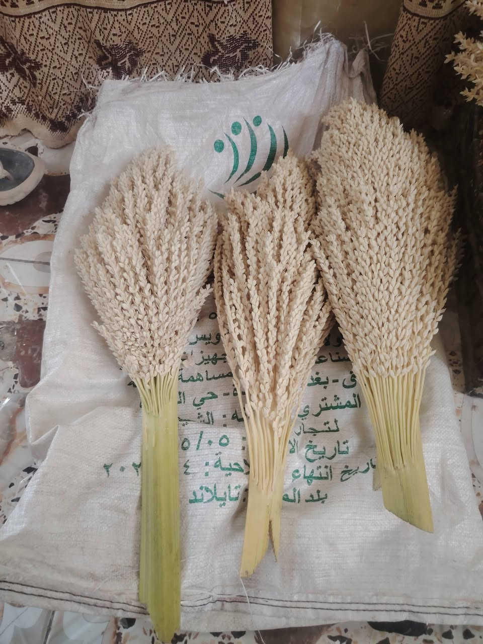 لكوح لبيع لعدد 20شرط مكانك لسماوه سوير


**إذا كنت صاحب هذا الإعلان وتريد حذفه لأي سبب، رجاءا أرسل رسالة إلى الدعم الفني**