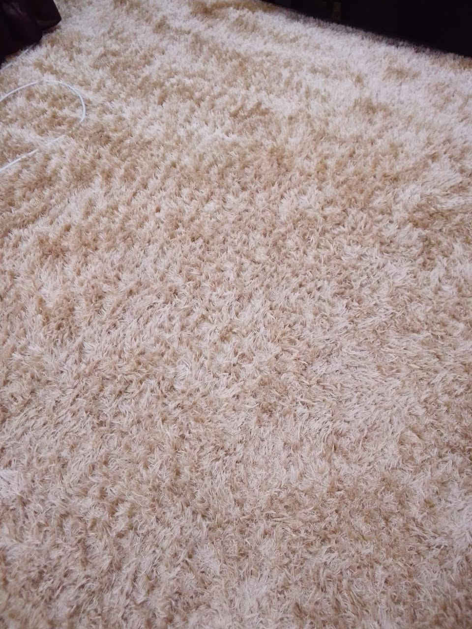 السلام عليكم زوليه درجة اولى مستخدمه بس هل شتويه شقتي صغيره واريد أبيعها السعر ٢٥٠ وقابل للنزول


**إذا كنت صاحب هذا الإعلان وتريد حذفه لأي سبب، رجاءا أرسل رسالة إلى الدعم الفني**