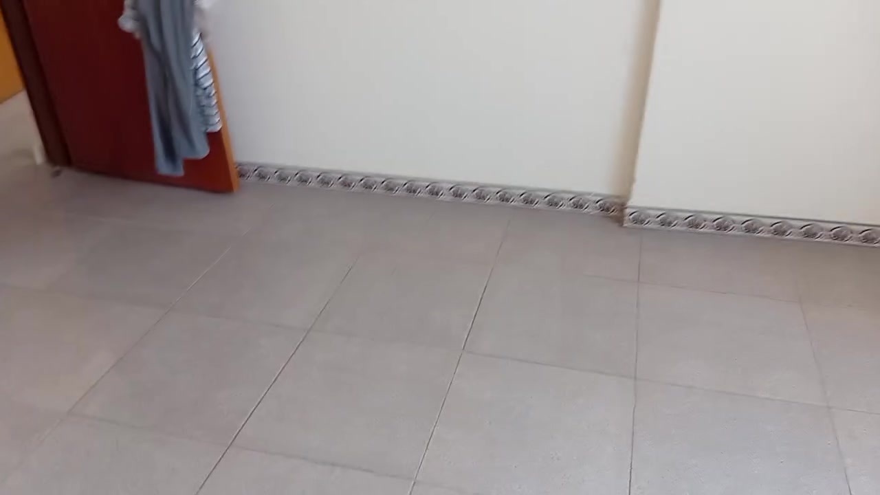 شقه للايجار ابو الخصيب السبيليات درجه اولى عله الشارع العام السايدين موقعه ايجار 450 للتواصل ***********
