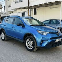 رافور • ٢٠١٧ • صبغ بونيد