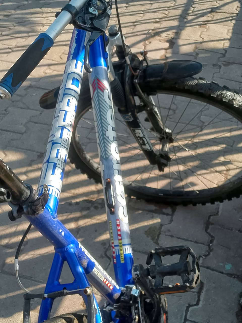 بسكليت رياضي امريكي.  سبع حركات من ورا وثلاث حركات من الدو ومن هي 170 دولار البسكليت بحاله جيده الرقم 0932468115


**إذا كنت صاحب هذا الإعلان وتريد حذفه لأي سبب، رجاءا أرسل رسالة إلى الدعم الفني**