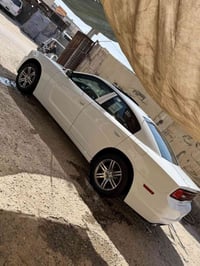 جاجر • ٢٠١٤ • فول