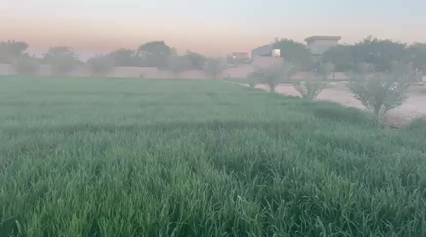 للبيع دونمين ونص زراعي مسيجه وكامله شارعها10متر سعر دونم25 بيها جعب من ضمن الكاع
كاع كلشش حلوة ومرتبه ومسيجه #الشهابي_الثالثه اطراف الفلوجه ***********//*********** التفاصيل داخل الفيديو
