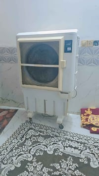 كونفيرة • ايراني • حجم كبير