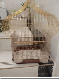 قفص • مركز الحلة