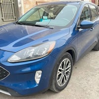 سكيب SEL • ٢٠٢٢ • رقم بغداد