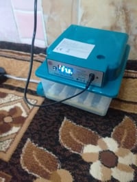 فقاسة • فول أوتوماتيك • بعقوبة التحرير