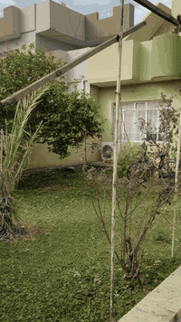 🌟🌟إسلام عليكم

🌟الدارللبيع::حي المحاربين طبق ونص

🌟نوع سند::طابو زهور شرط تحويل

🌟حالة الدار ::جيد  (بحساب ارض)

🌟مساحه:: (256M)((عمق 27\\واجها9.5))

🌟الموقع::قرب جامع حذيفا ابن اليمان +مطعم قصر السمك

🌟طابق الاول:: غرفتين نوم +صحيات+حول+استقبال+حوش خلفي

🌟الطابق الثاني ::غرفتين نوم +هول

🌟الطابق ثالث ::سطح كبير

🌟سعر متر900الف ببي مجال شي قليل

🌟باقي  تفاصيل ع رقم(( ***********))+واتساب
