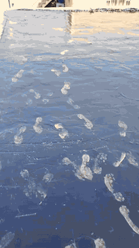 عازل ماء • ماستك سطوح • قضاء هيت حي المعلمين