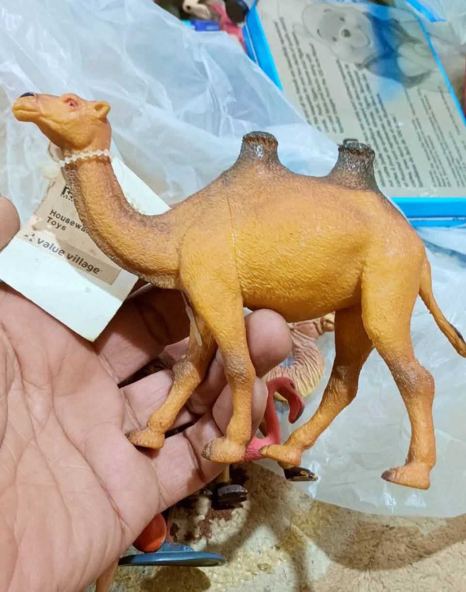 مجسمات ربل


**إذا كنت صاحب هذا الإعلان وتريد حذفه لأي سبب، رجاءا أرسل رسالة إلى الدعم الفني**