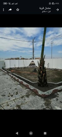 تنسيق حدائق • زراعة نباتات • قص العشب