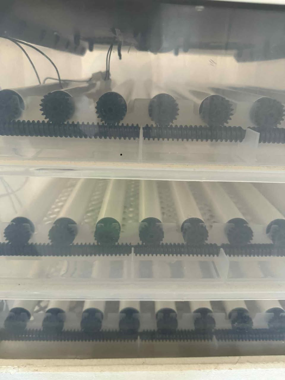 مفقسة للبيع


**إذا كنت صاحب هذا الإعلان وتريد حذفه لأي سبب، رجاءا أرسل رسالة إلى الدعم الفني**