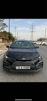 كورلا فول • ٢٠٢٠ • اربيل