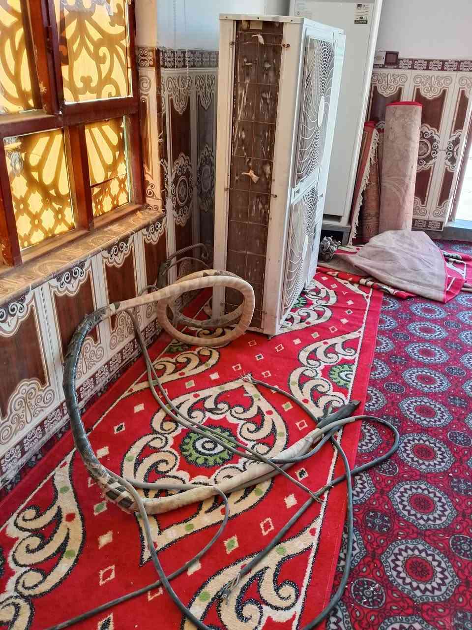 سلام عليكم ورحمة الله وبركاتة سبلت للبيع خمسة طن بكلف بنشر المكان بين السوق و فضيلة السعر مناسب هاذا رقم راعيه بي واتساب +964 780 966 2167
