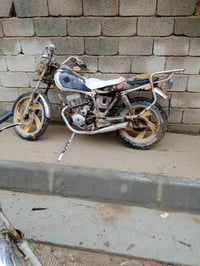 جني • ٢٠١٠ • اوراق