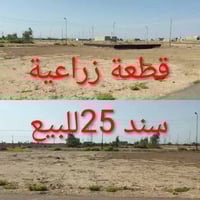 قطعة زراعية • ٢٠٠م • الحمزة الشرقي