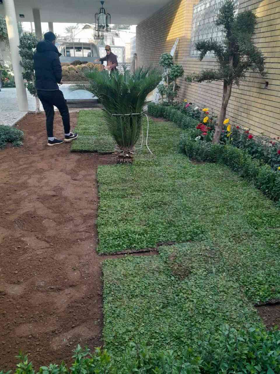 انتاج خاص بمزارعنا
انتاج خاص بمزارعنا
حيث الجودة والسعر المناسب 

جميع انواع الثيل الطبيعي نوعية ممتازة🍀 مناسب للستخدام في ( المنازل🌳_ الحدائق🌳_ الملاعب🌳_ الدوائر🌿) 

#انتاج_خاص #شكل_مثالي  #سعر_تنافسي

✨ سعر المتر يختلف للكميات الكبيرة ✨

يوجد خدمة توصيل لجميع محافظات العراق 
 
(مستعدون لتجهيز الحدائق المنزليه و الملاعب الرياضيه و المنتزهات و الدوائر الحكومية بكادر مختص مميز يجيك لباب بيتك #بأسعار #تنافسيه )
🍁للاتصال او الاستفسار  متوفر مفتوح طوال اليوم
*********** اتصال أو واتساب
 ***********اتصال او واتساب
