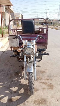ستوته • ستوتة ام الطير • ستوته للبيع • ستوتة نظيفة • ستوتة ديالى • ستو...