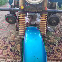 ستوته • هورن بوش • شفقه