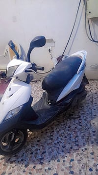 ثعلب للبيع مكاني الدوره 07857776622