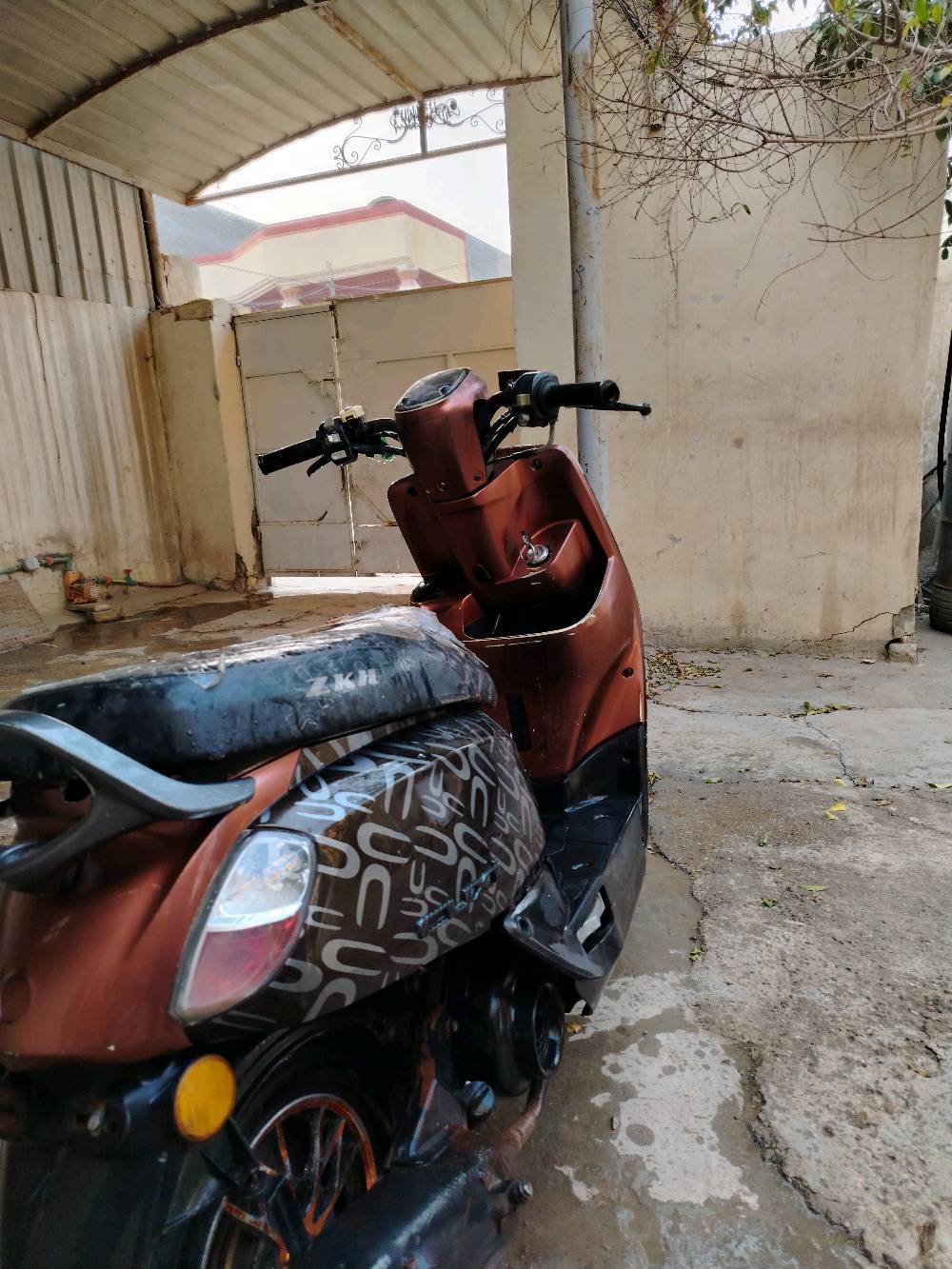 بابل حي الاساتذه شارع عميد قيس